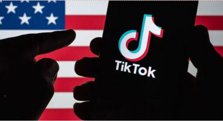 TikTok USA account dashboard showing analytics and growth metrics
