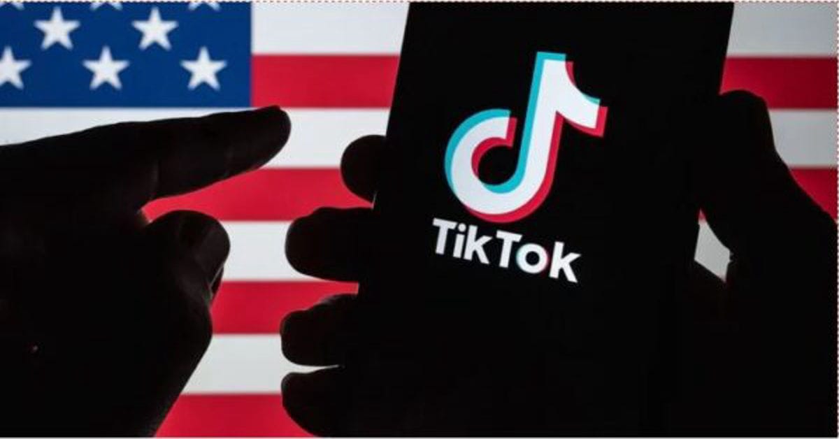 TikTok USA account dashboard showing analytics and growth metrics